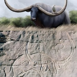 BREAKING NEWS: A mysterious 8000-year-old buffalo carving.