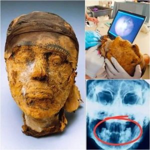 BREAKING NEWS: Ancient Mystery, Modern Solution: FBI Cracks the 4,000-Year-Old Enigma of an Egyptian Mummy's Identity with Cutting-Edge Forensic Science