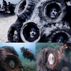 HOT: Chilling Find: Divers Reveal Mysterious Faces Encased Beneath the Sea in Koh Tao, Thailand.