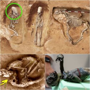 HOT NEWS: Unraveling the Mystery: Unearthing a Bizarre Human-Animal Hybrid Skeleton from Billions of Years Ago