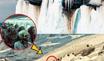 Breaking news: Researchers were stunned to discover an ancient plane encased in centuries-old ice